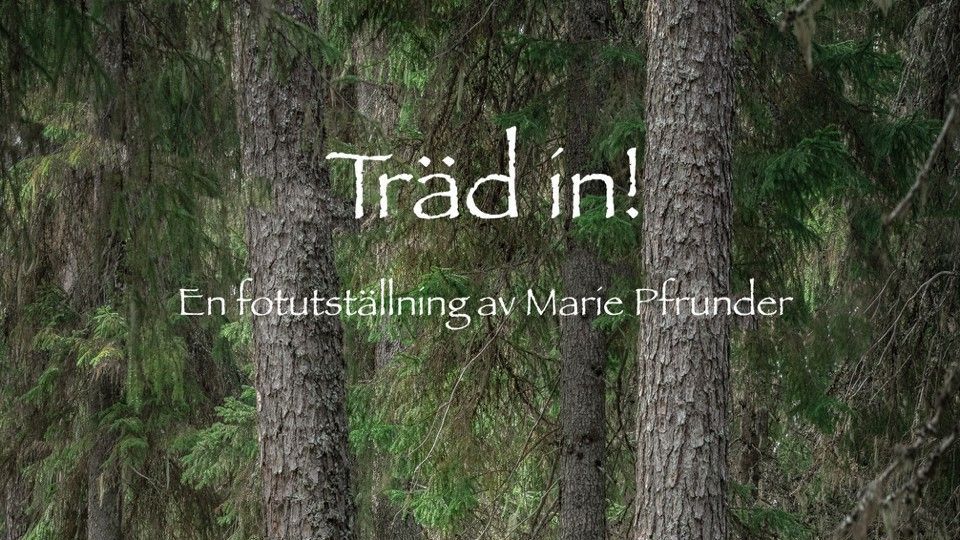 En skog med texten Träd in